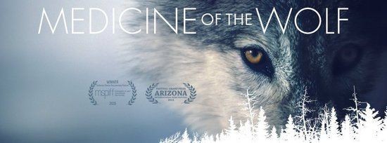 Medicine.of.the.Wolf.2015.720p.BluRay.x264-GUACAMOLE