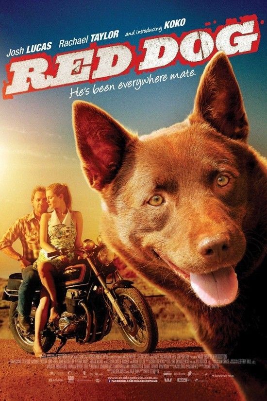 Red.Dog.2011.1080p.BluRay.x264-aAF