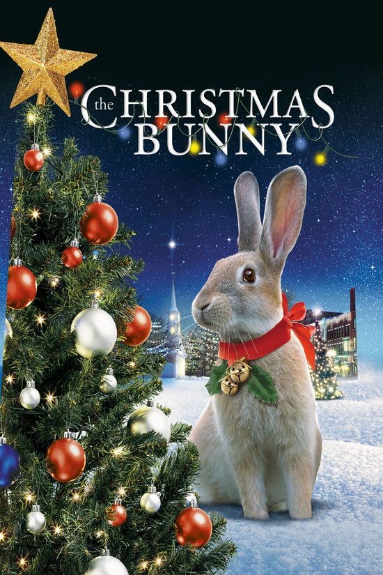 The.Christmas.Bunny.2010.1080p.AMZN.WEBRip.AAC2.0.x264-FGT
