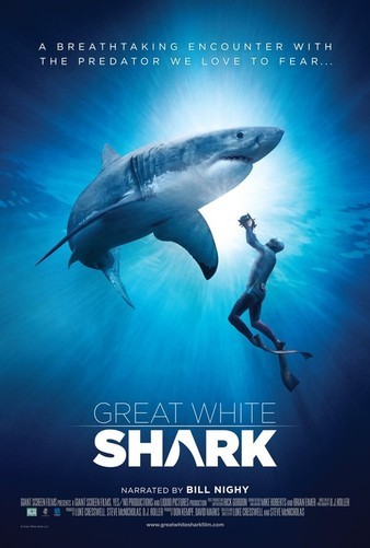 Great.White.Shark.2013.DOCU.2160p.BluRay.REMUX.AVC.DTS-HD.MA.5.1-FGT