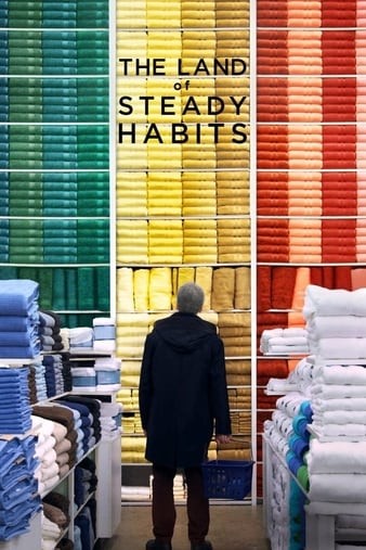 The.Land.of.Steady.Habits.2018.REPACK.720p.WEBRip.x264-STRiFE