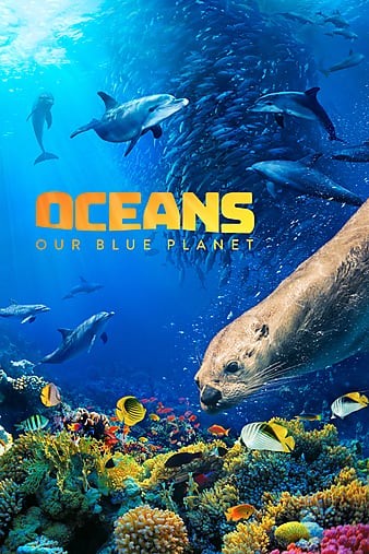 Oceans.Our.Blue.Planet.2018.DOCU.2160p.BluRay.REMUX.HEVC.DTS-HD.MA.5.1-FGT