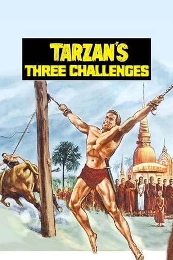 Tarzans.Three.Challenges.1963.1080p.BluRay.REMUX.AVC.DTS-HD.MA.2.0-FGT