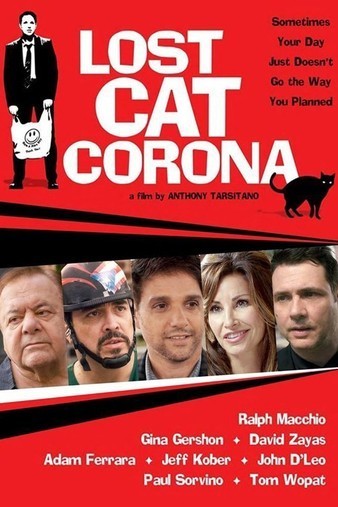 Lost.Cat.Corona.2017.1080p.AMZN.WEBRip.DDP5.1.x264-monkee